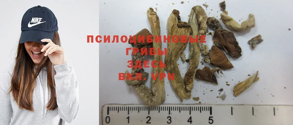 МДПВ Богородицк