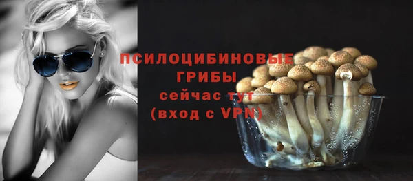 таблы Богородск