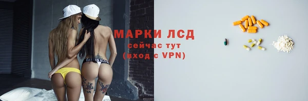 мяу мяу мука Богданович
