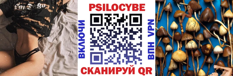 Галлюциногенные грибы Cubensis Купить закладки Серафимович